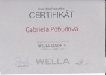 Wella Color II.